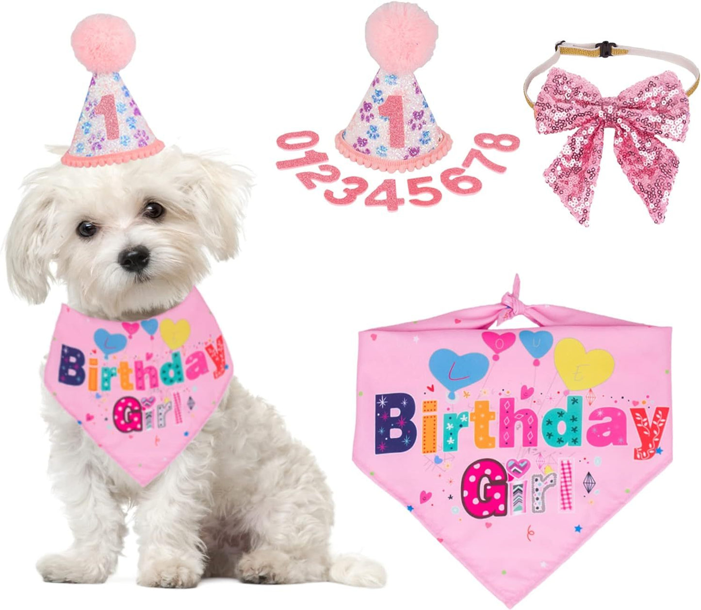Dog Birthday Party Supplies Boy Girl Dog Birthday Hat With Numbers Dog Puppy