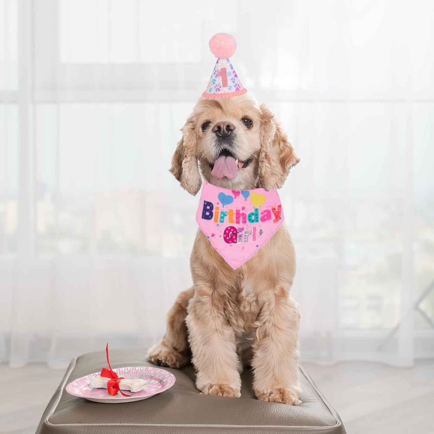 Dog Birthday Party Supplies Boy Girl Dog Birthday Hat With Numbers Dog Puppy