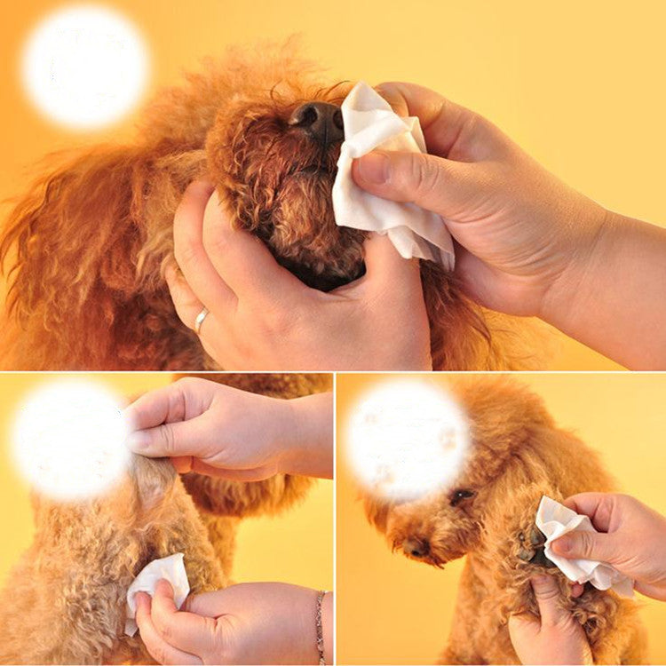 Cat/Dog Claw Cleaning Pet Wipes