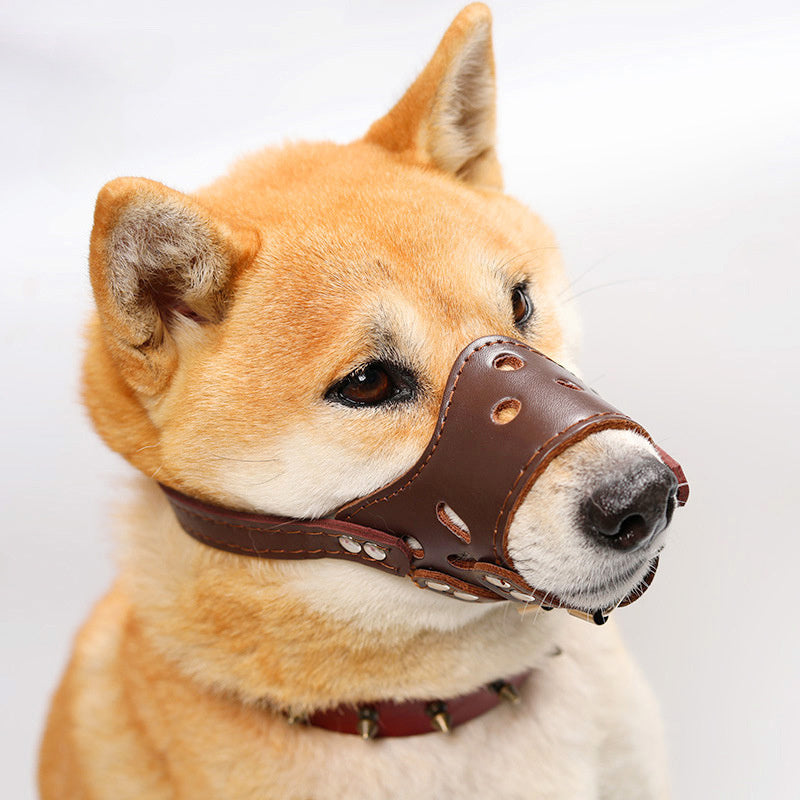 Dog Muzzle Silencer Anti-barking Bite Prevention Feeding Disorder Small Medium Large Dog Mouth Cover Teddy Golden Retriever