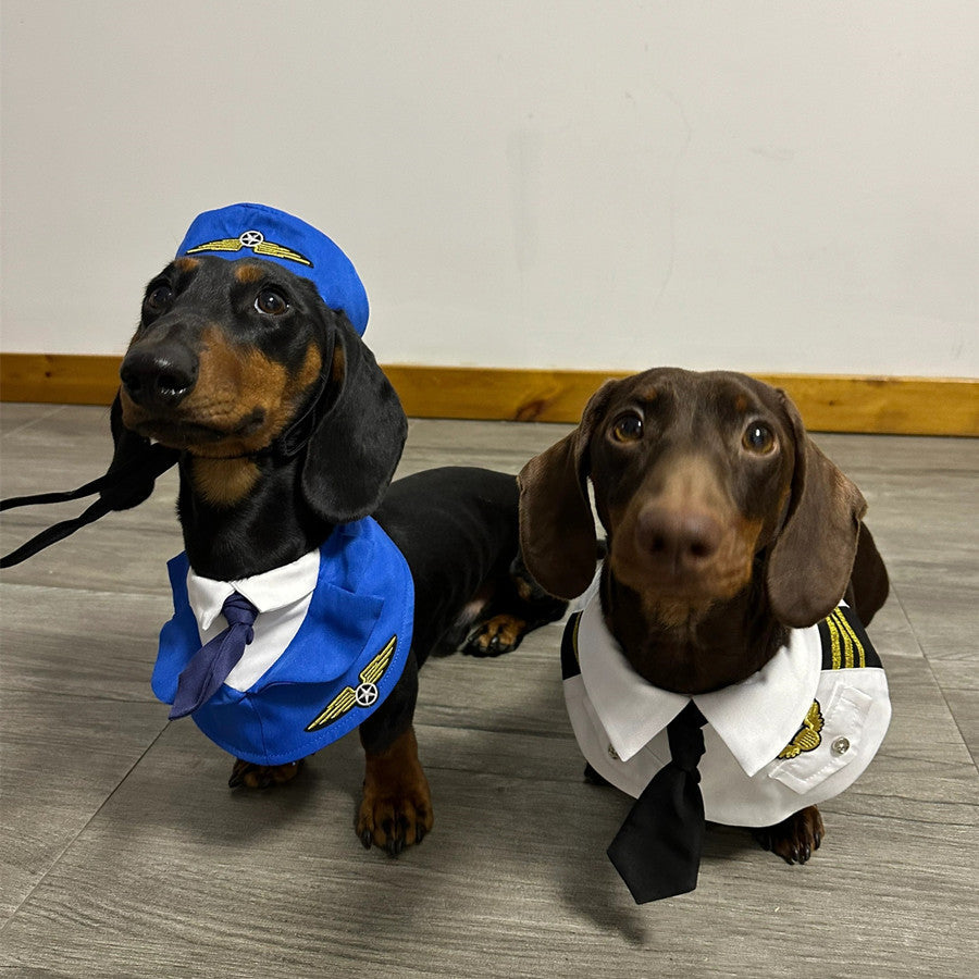 Dachshund Dog Funny Clothes