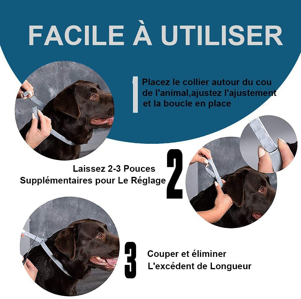 Flea And Anti-lice Cat/Dog Flea Preventing Ring Pet In Vitro Insect Repellent Collar Supplies