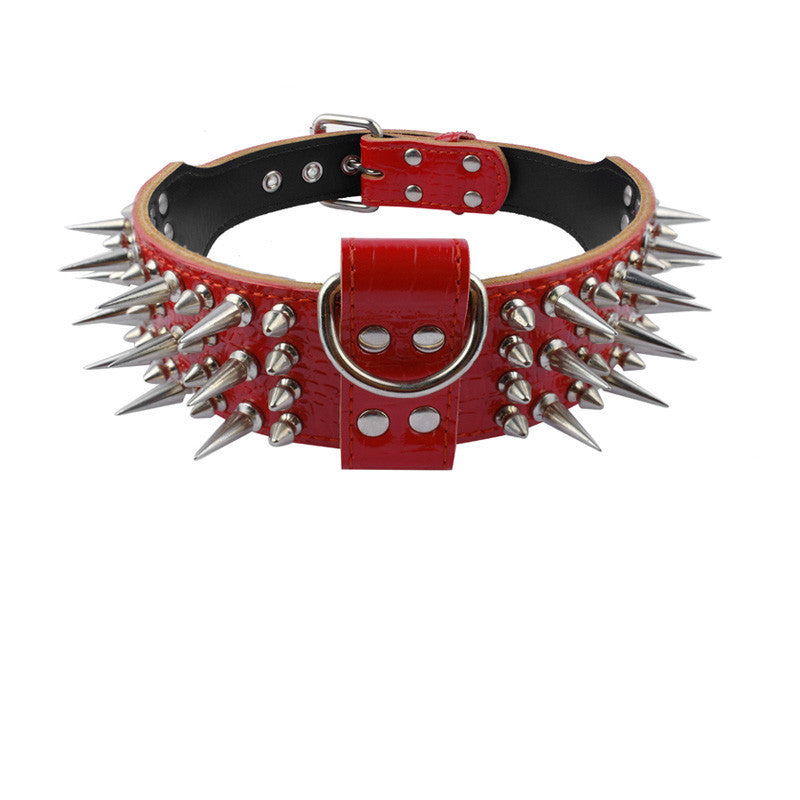 Dog Collar Pit Bull Cathrow Rivet Chain
