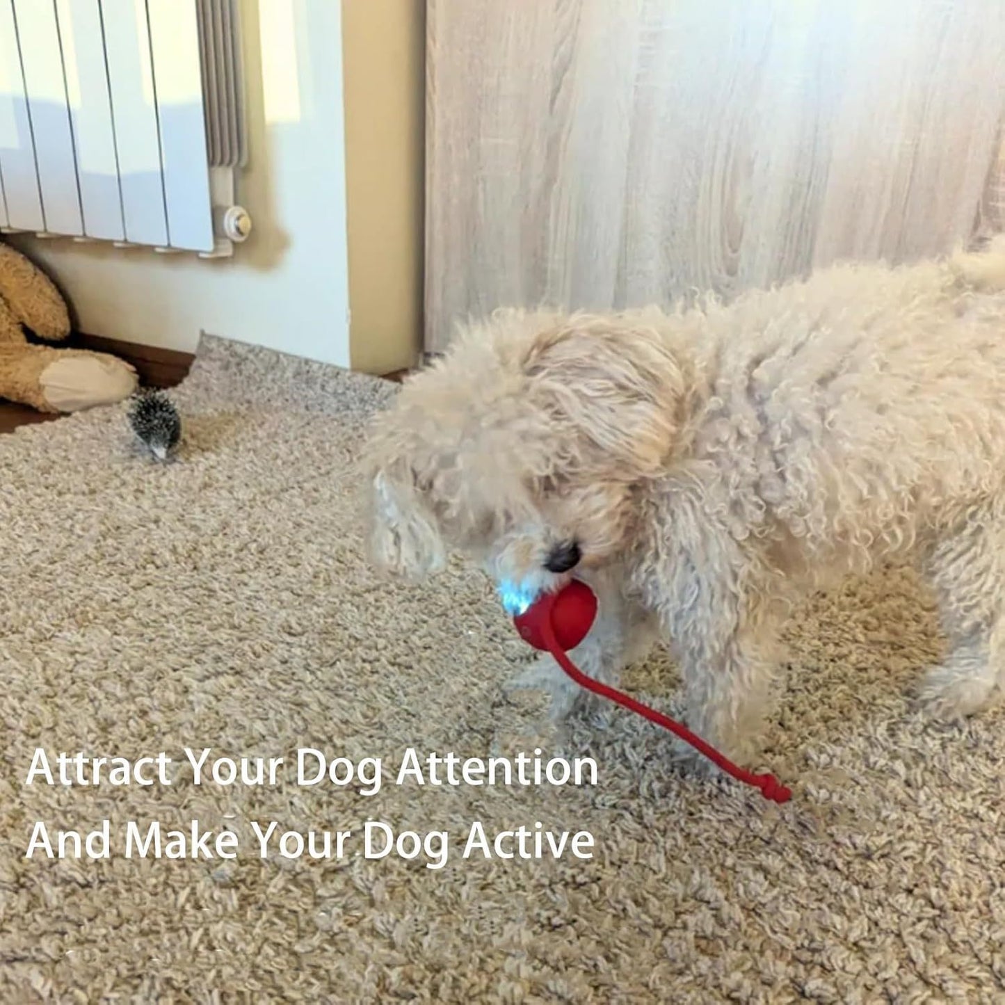 Rolling Ball For Interactive Dogs Smart Toy 360 Automatic Rolling
