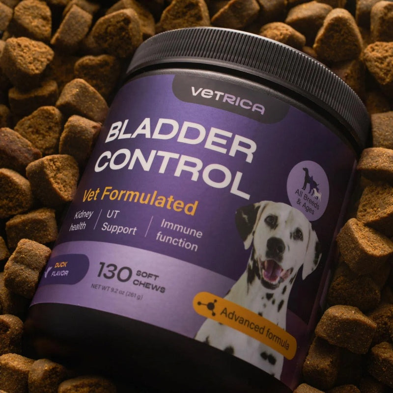 Dog UTI Cranberry Chews Supplement For Urinary Tract Bladder & Kidney Health Soft Treats