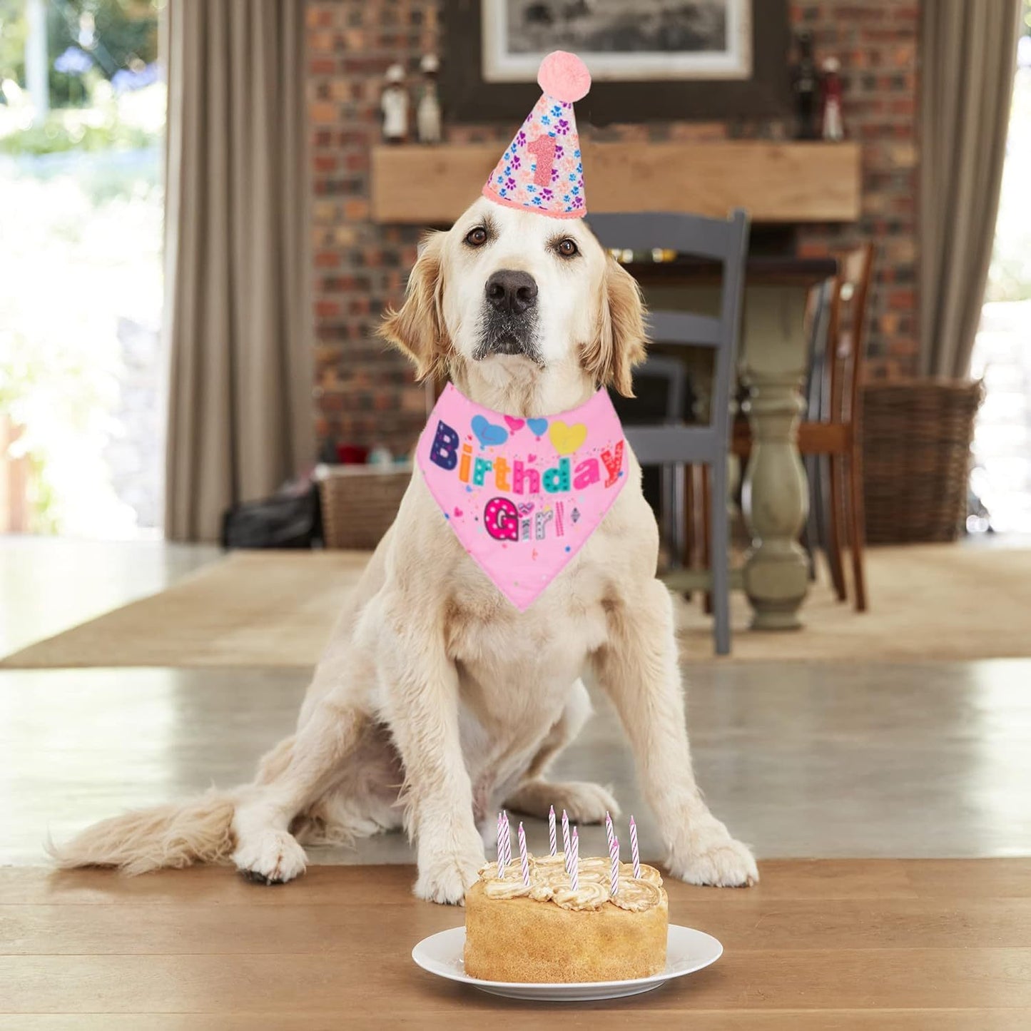 Dog Birthday Party Supplies Boy Girl Dog Birthday Hat With Numbers Dog Puppy