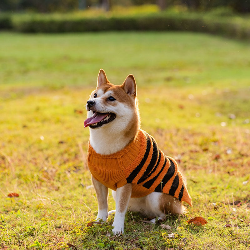 Halloween Dog Sweaters Pet Costume For Dogs Pets Outfits