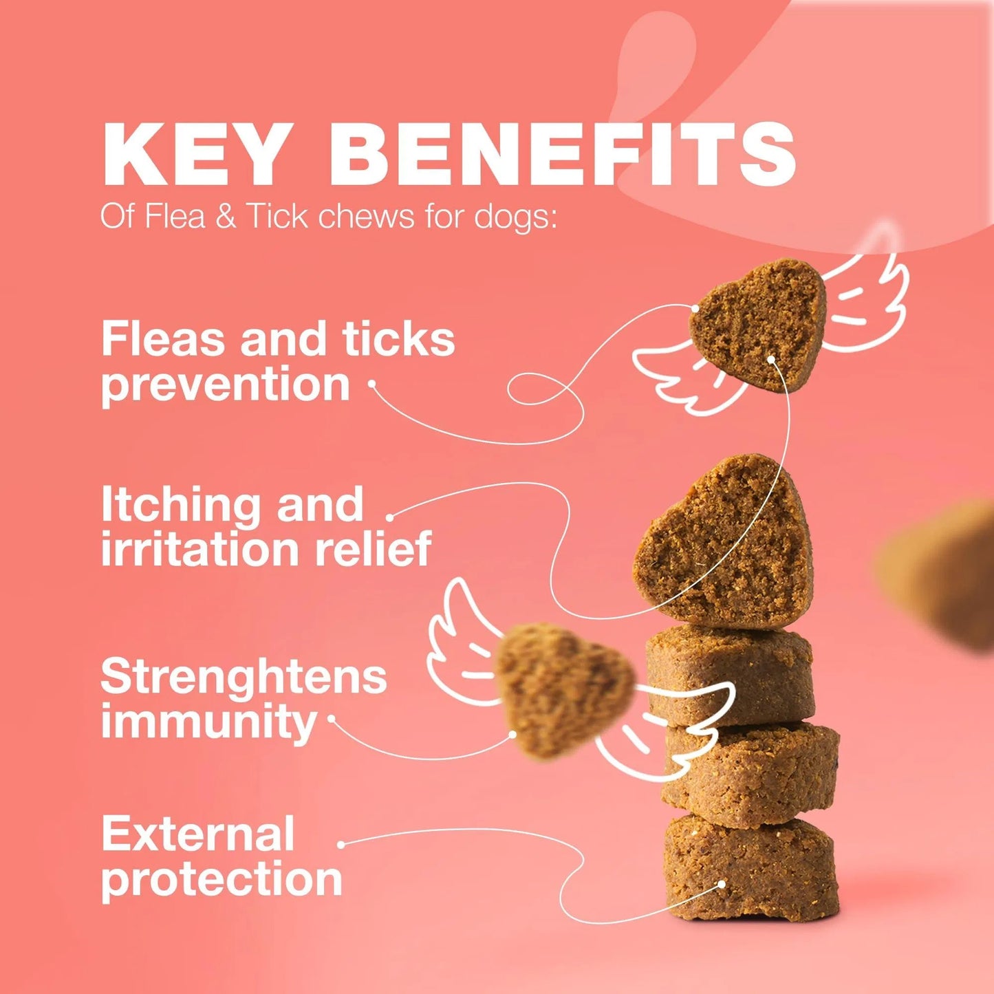 Dog Flea And Tick Treatment Chewables Treats Immune Support Supplement