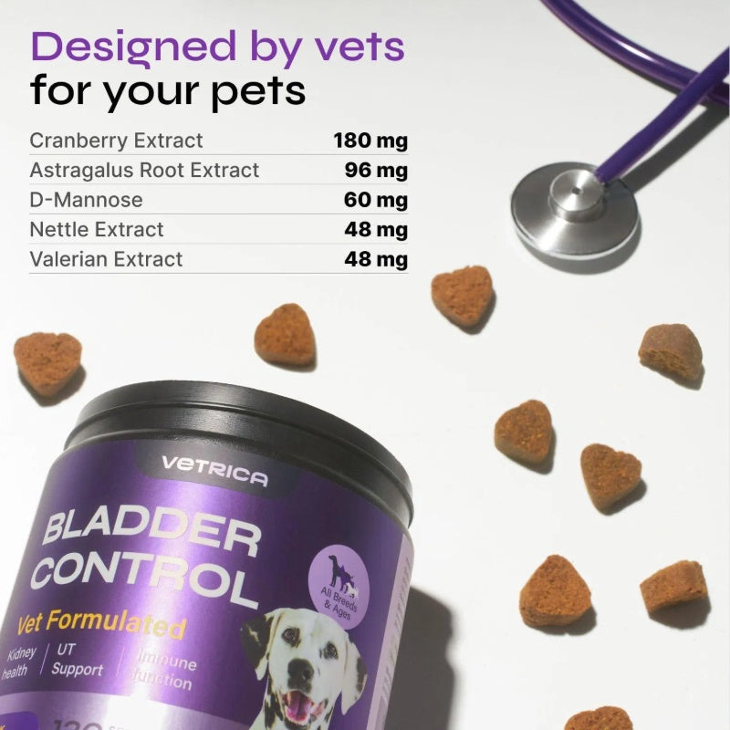 Dog UTI Cranberry Chews Supplement For Urinary Tract Bladder & Kidney Health Soft Treats