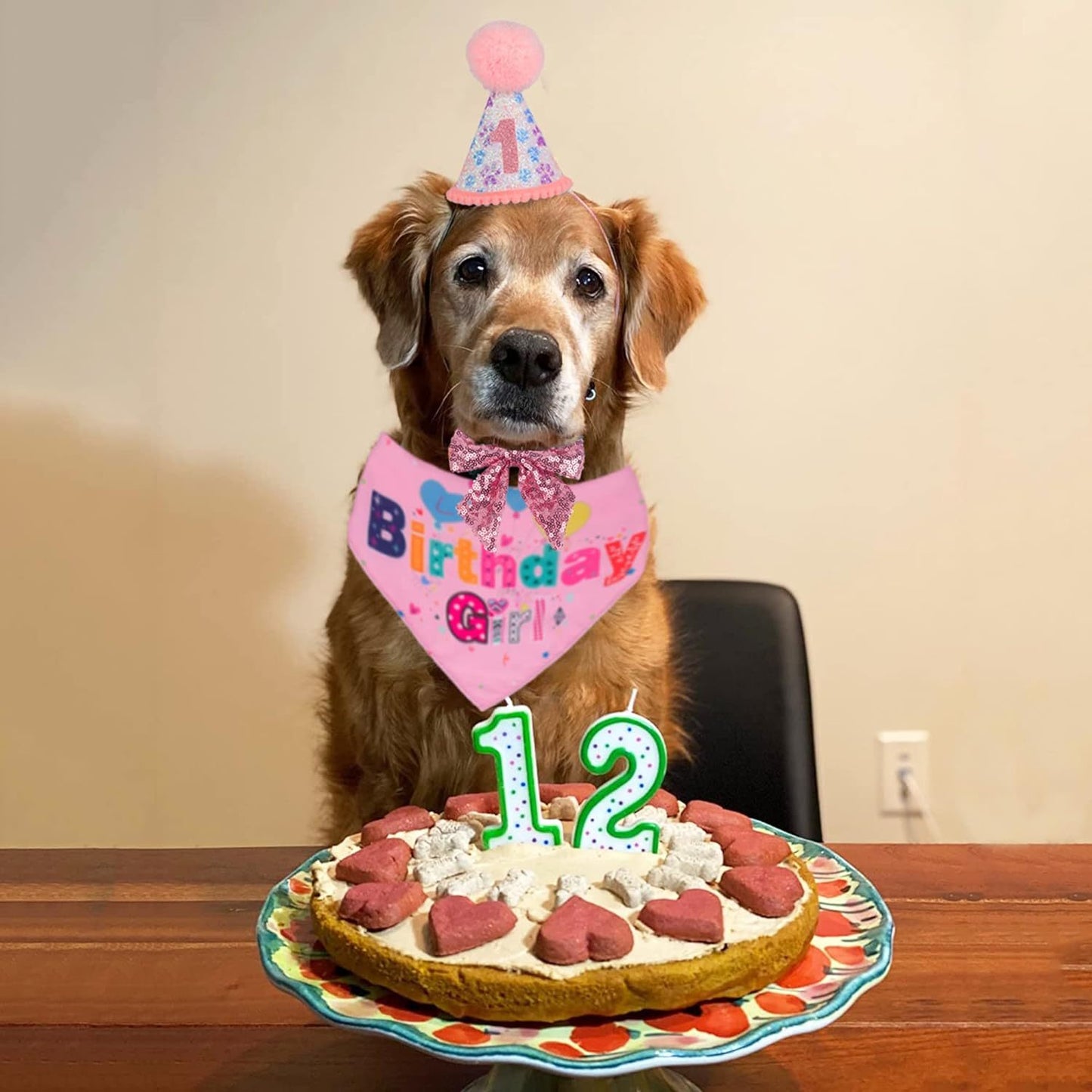 Dog Birthday Party Supplies Boy Girl Dog Birthday Hat With Numbers Dog Puppy