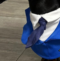 Dachshund Dog Funny Clothes