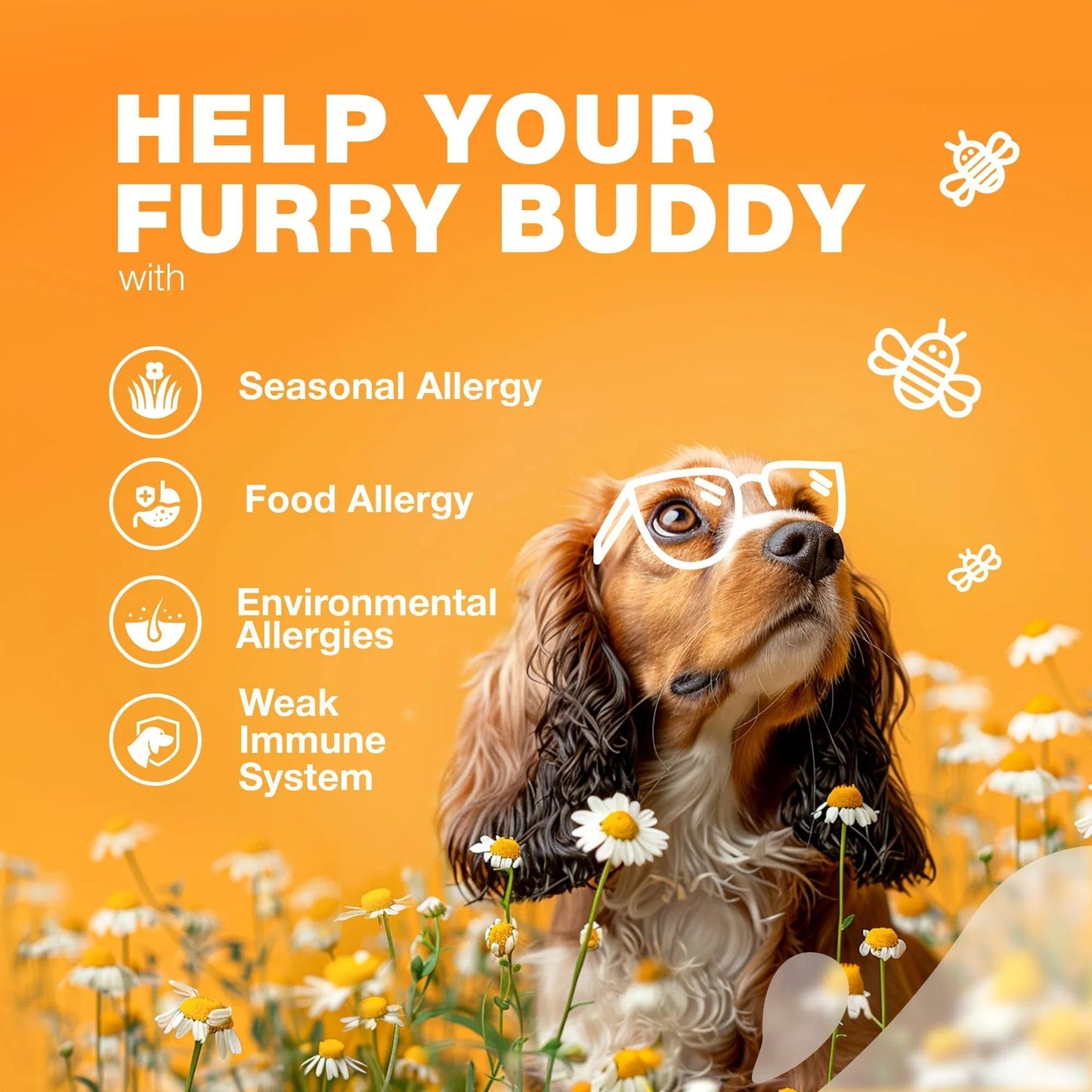Dog Allergy Relief Chews Itch Relief For Anti Itch Dog Allergy Itching Skin Relief With Salmon Oil Immune Health Treats