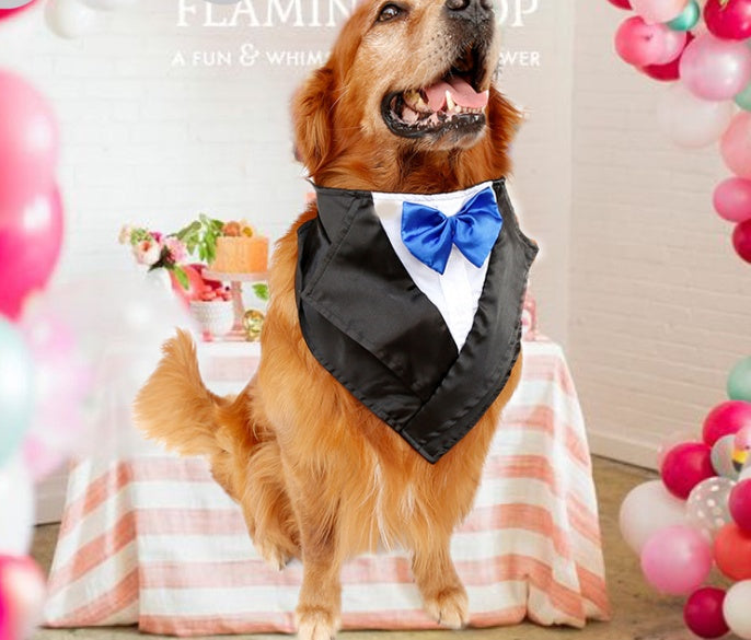 Wedding tuxedo big dog triangle scarf large handsome pet scarf