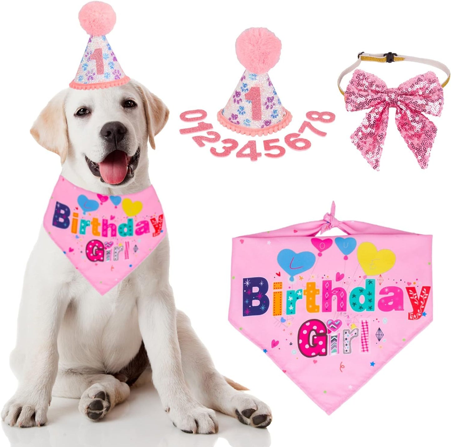 Dog Birthday Party Supplies Boy Girl Dog Birthday Hat With Numbers Dog Puppy