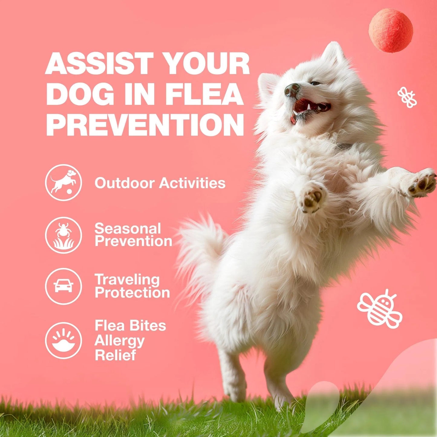 Dog Flea And Tick Treatment Chewables Treats Immune Support Supplement