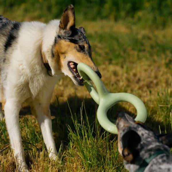 Material Rubber Pet Bite Pull Toy
