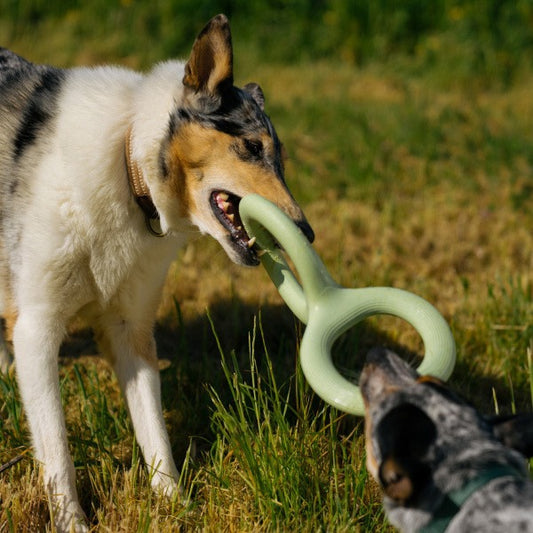 Material Rubber Pet Bite Pull Toy