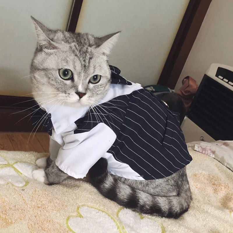 Handsome Cat Dog Suit Clothing for Cats Small Dogs Wedding Birthday *Free Shipping