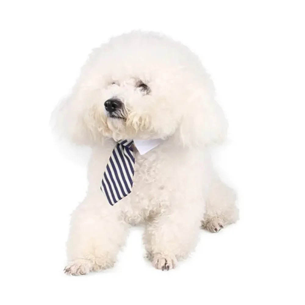 Pet Tie Necktie, Adjustable Collar for Small Dogs and Cats *Free Shipping