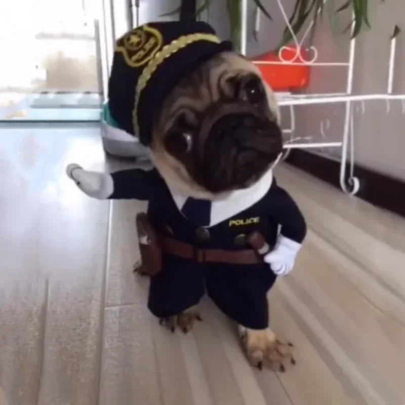 Funny Pet Halloween Costume Cowboy Clothes