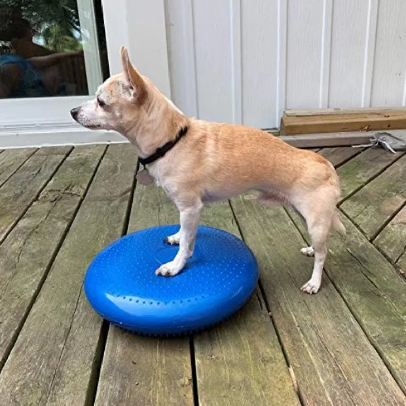 Dogs Training Fitness Sports Muscle Atrophy Dog Agility Toy *Free shipping
