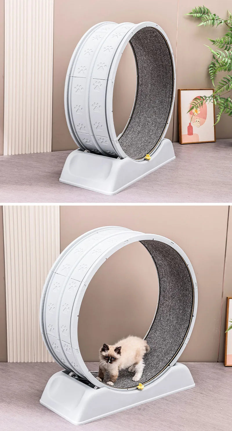 Pet treadmill fitness exercise, silent cat running wheel, *FREE SHIPPING