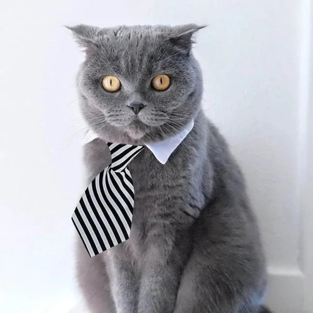 Pet Tie Necktie, Adjustable Collar for Small Dogs and Cats *Free Shipping