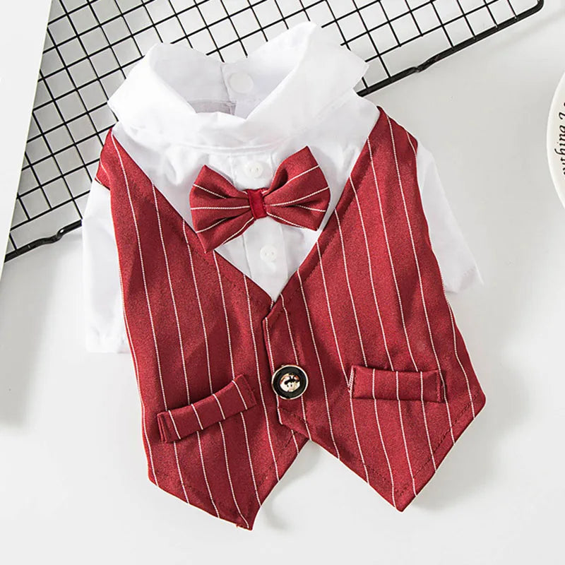 Handsome Cat Dog Suit Clothing for Cats Small Dogs Wedding Birthday *Free Shipping