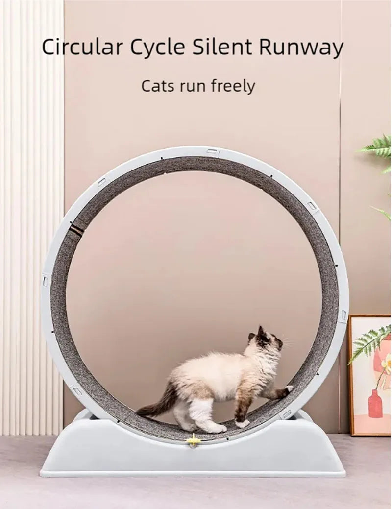 Pet treadmill fitness exercise, silent cat running wheel, *FREE SHIPPING