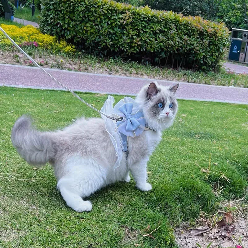 Small Cute Bow-knot Pet Harness Leash Pet Princess Nylon Kittten *Free Shipping