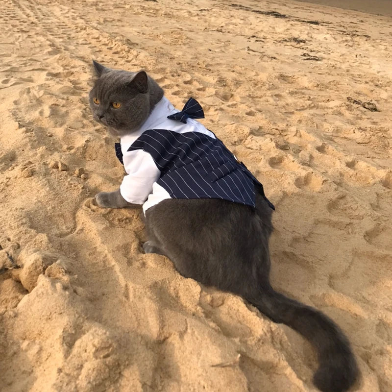Handsome Cat Dog Suit Clothing for Cats Small Dogs Wedding Birthday *Free Shipping