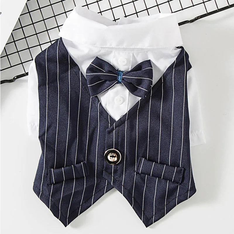 Handsome Cat Dog Suit Clothing for Cats Small Dogs Wedding Birthday *Free Shipping