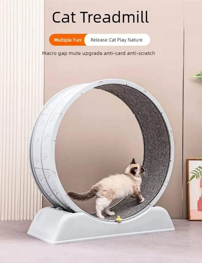 Pet treadmill fitness exercise, silent cat running wheel, *FREE SHIPPING