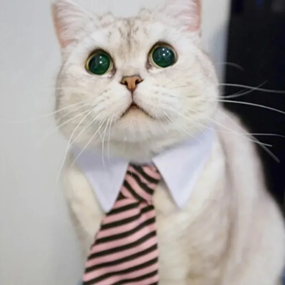 Pet Tie Necktie, Adjustable Collar for Small Dogs and Cats *Free Shipping