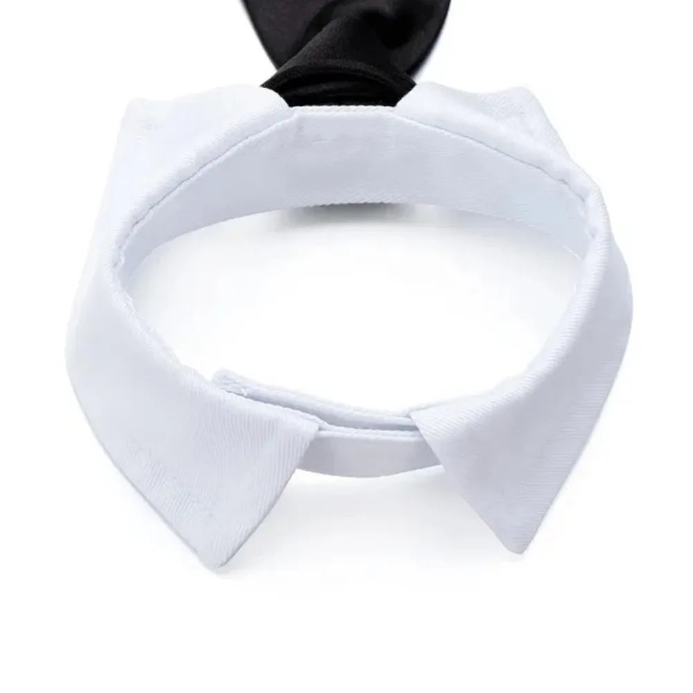 Pet Tie Necktie, Adjustable Collar for Small Dogs and Cats *Free Shipping