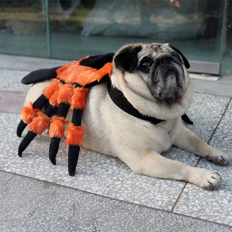 Pet Halloween Cute Red Eyed Spider Chest Back Transformation Costume *Free Shipping