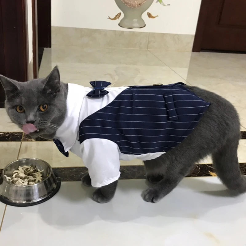 Handsome Cat Dog Suit Clothing for Cats Small Dogs Wedding Birthday *Free Shipping