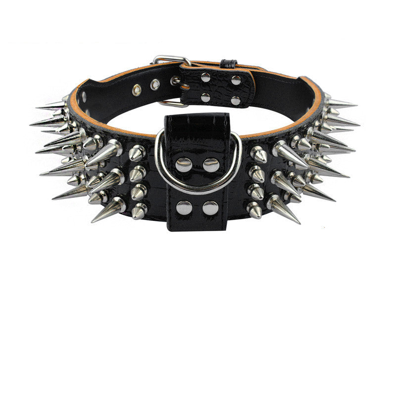 Dog Collar Pit Bull Cathrow Rivet Chain