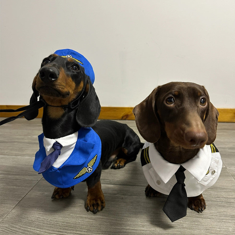 Dachshund Dog Funny Clothes