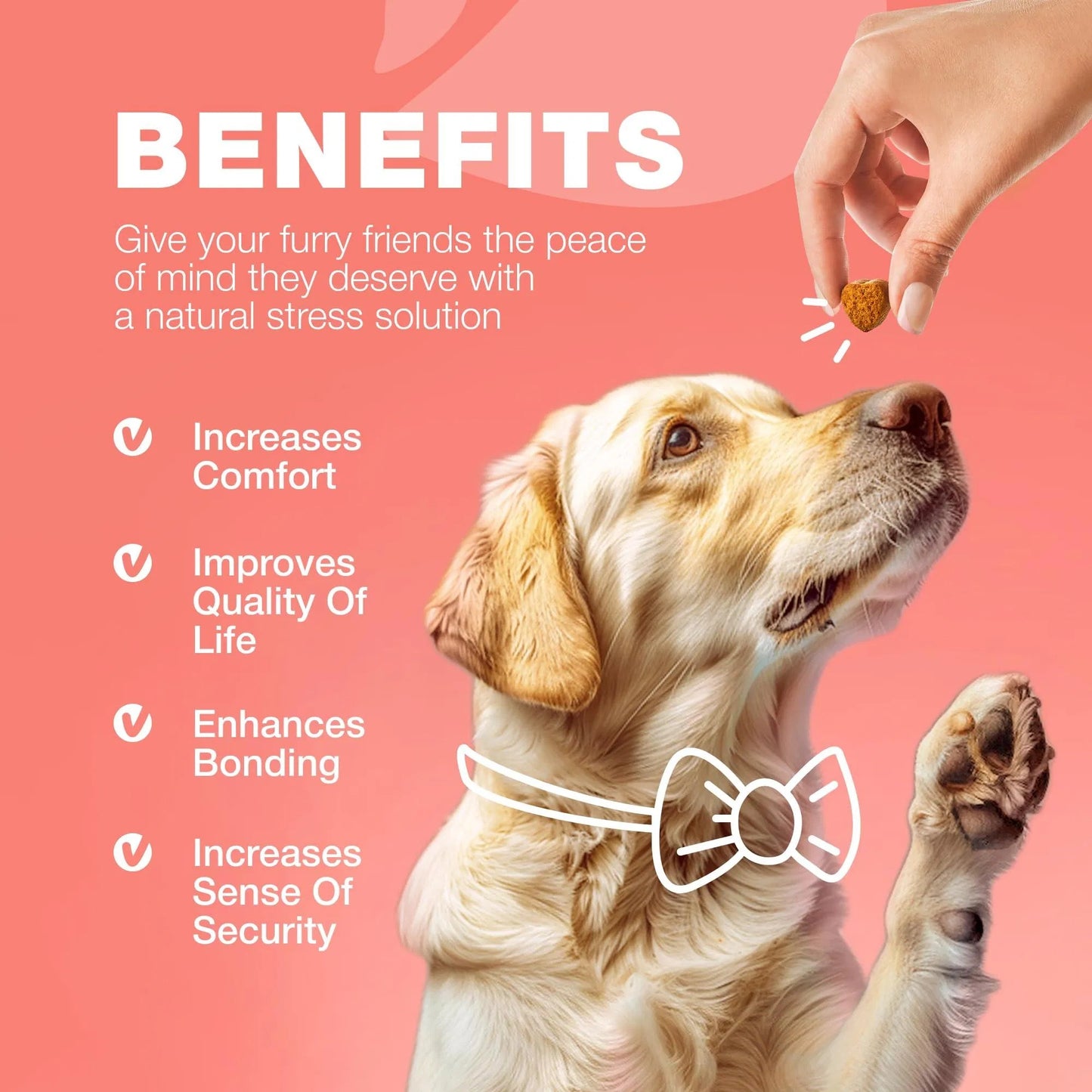 Dog Flea And Tick Treatment Chewables Treats Immune Support Supplement