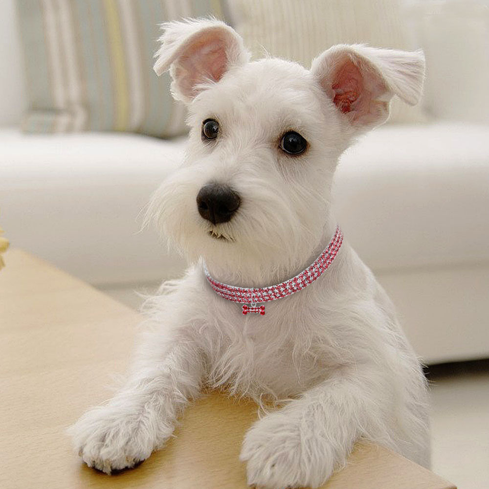 Bling Rhinestone Crystal Puppy Chihuahua Collars For Small Medium Dogs Cats
