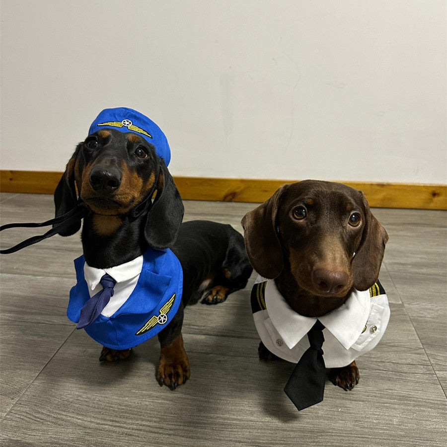 Dachshund Dog Funny Clothes