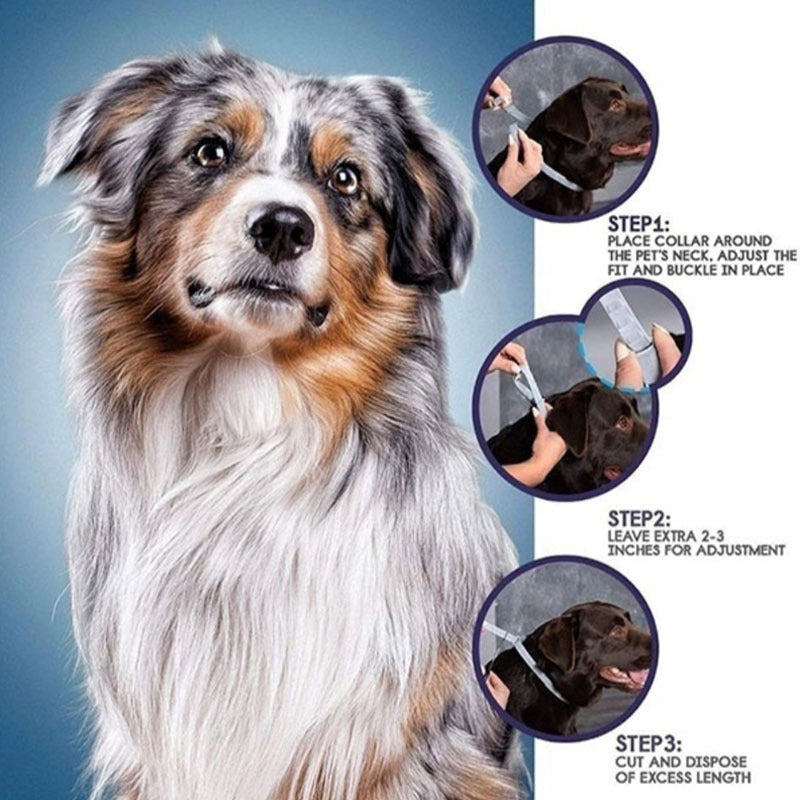 Flea And Anti-lice Cat/Dog Flea Preventing Ring Pet In Vitro Insect Repellent Collar Supplies
