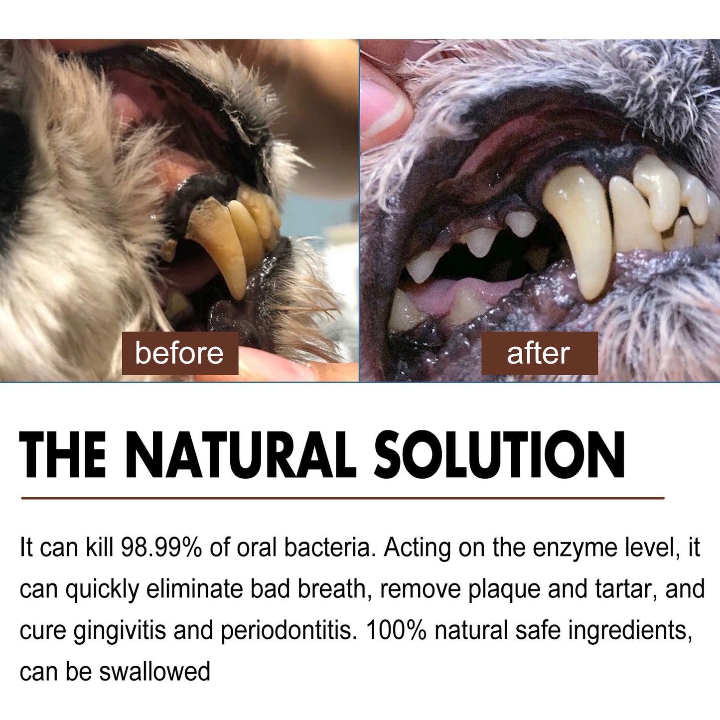Pet Tooth Cleaning Spray