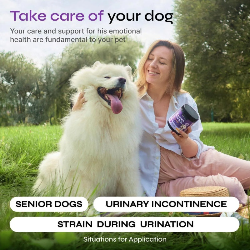 Dog UTI Cranberry Chews Supplement For Urinary Tract Bladder & Kidney Health Soft Treats