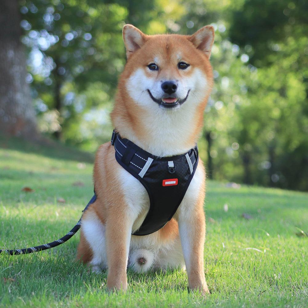 No Pull Breathable Reflective Pet Harness Vest For Small Large Dog Outdoor Running Dogs Training Accessories
