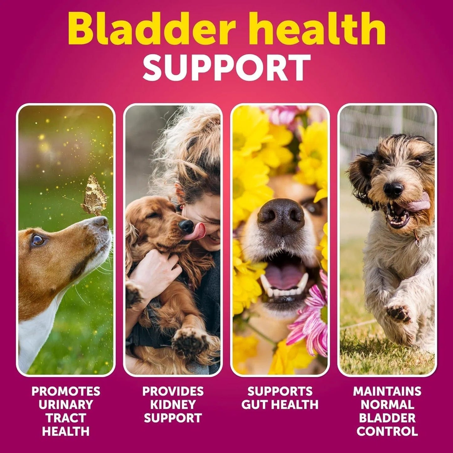 Dog UTI Treatment Cranberry Supplement Bladder Control Urinary Tract Infection Medicine Treats 70 Soft Chews