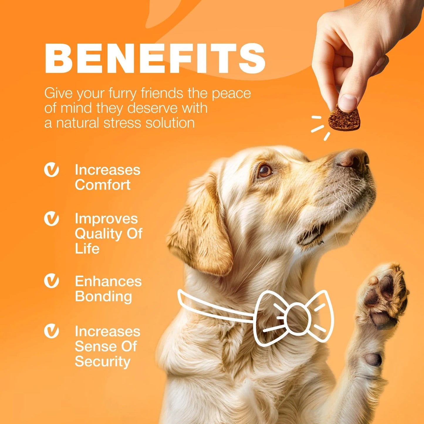 Dog Allergy Relief Chews Itch Relief For Anti Itch Dog Allergy Itching Skin Relief With Salmon Oil Immune Health Treats