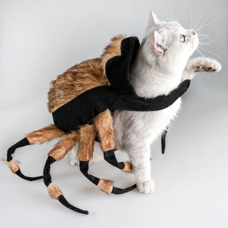 Pet Spider Costumes *Free shipping
