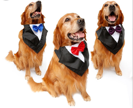 Wedding tuxedo big dog triangle scarf large handsome pet scarf